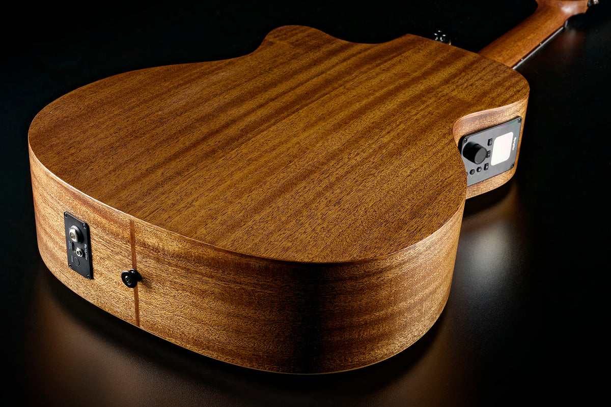 HyVibe 2 Serie 10 Auditorium Nylon CW