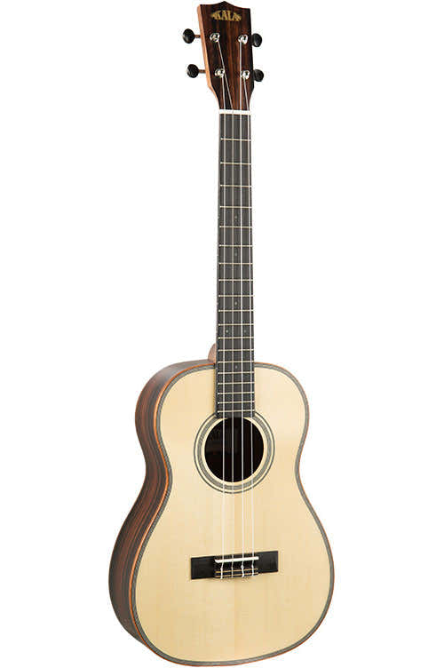 Solid Spruce Top/Ebony Bariton + Gigbag