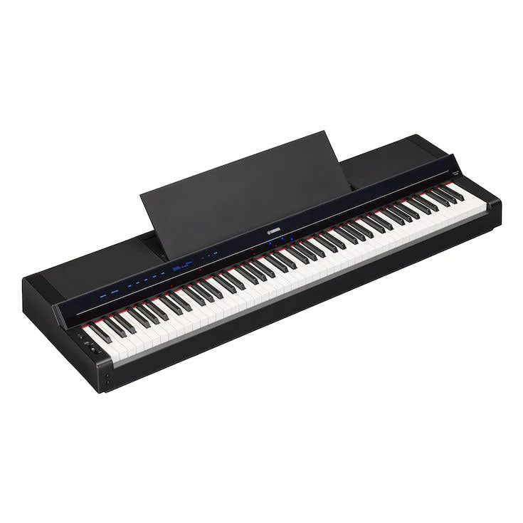 P-S500 schwarz