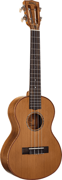 Naturbelassener Elektro-Tenor + Tasche