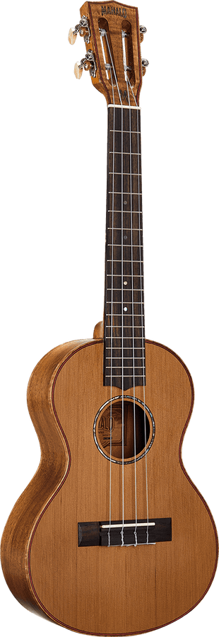 Naturbelassener Elektro-Tenor + Tasche