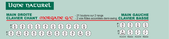 DIATONISCHES AKKORDEON HOHNER MORGAN II TASTEN IN G/C -NATURHOLZSORTIMENT INKLUSIVE TASCHE