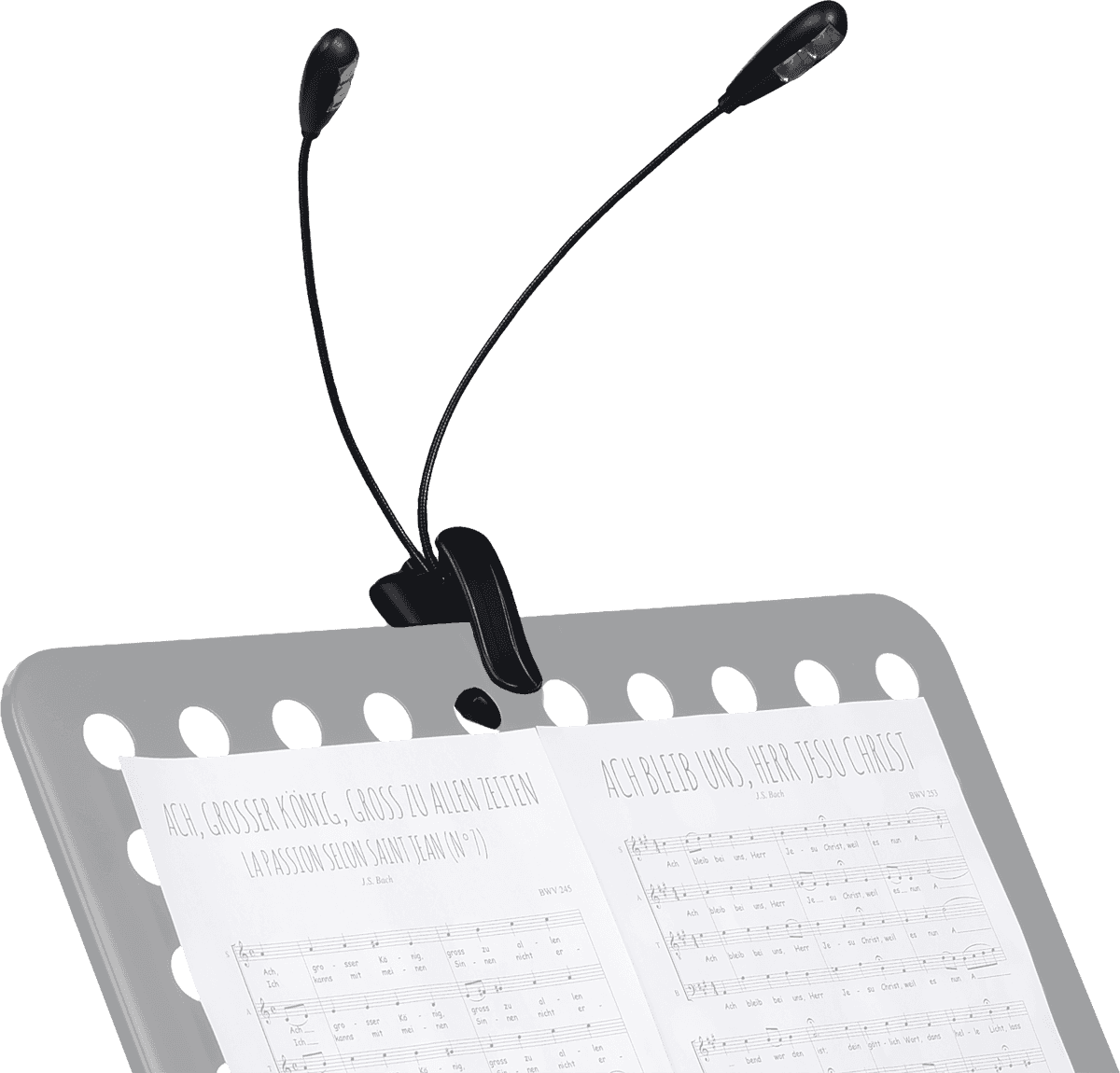 2 LAMPS ON FLEXIBLE HOSES TO CLIP ON (4 LEDS)