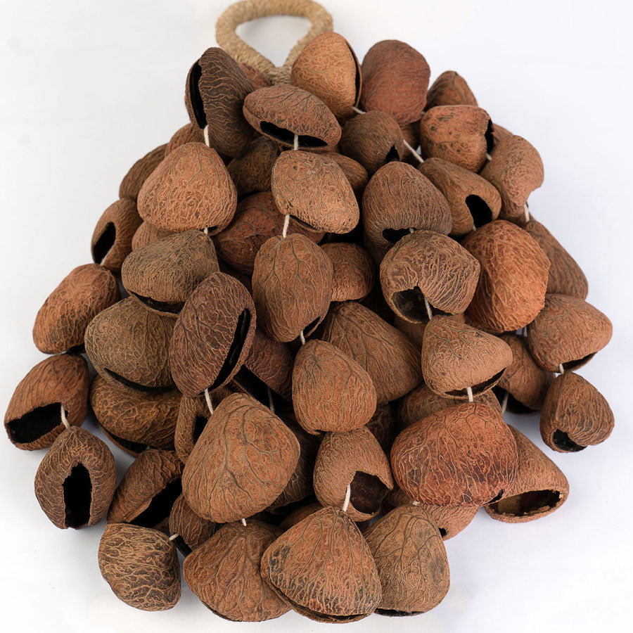 SESDS7 Seed Shaker 6 Reihen Pangi