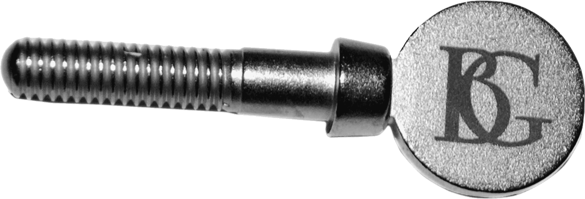ASSP - SCHRAUBE FUR BLATTSCHRAUBE SAXOPHON ODER KLARINETTE SILVER PLATED