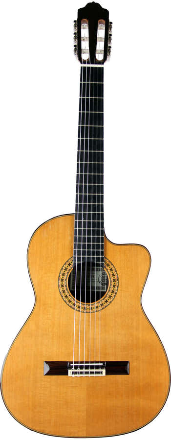 8Ce Cedar Eq Fishman