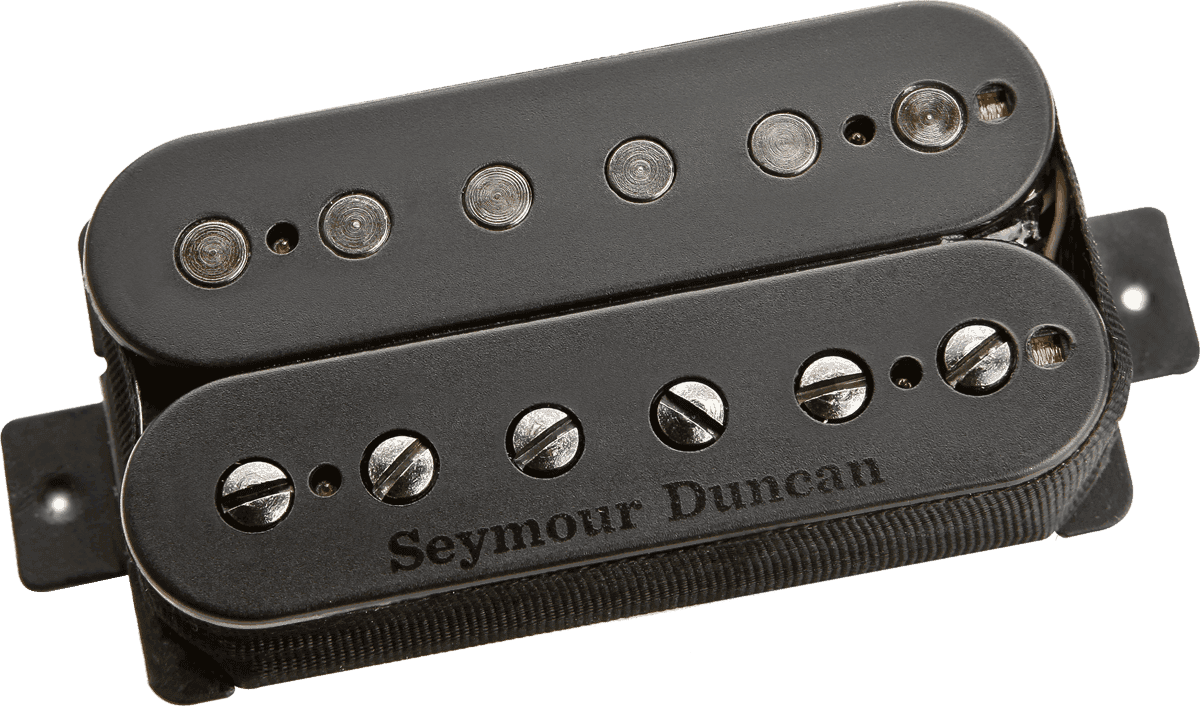 PGS-B-P-6STR PEGASUS 6 STRING BLACK - BRIDGE