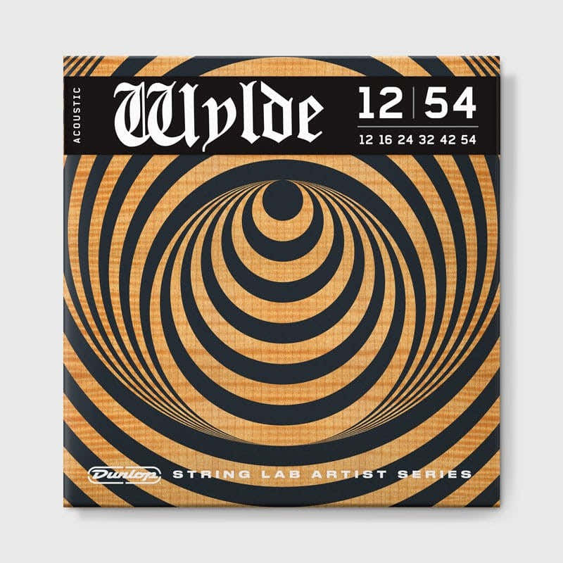 ZAKK WYLDE SIGNATURE AKUSTIKGITARREN-SAITEN 12-54