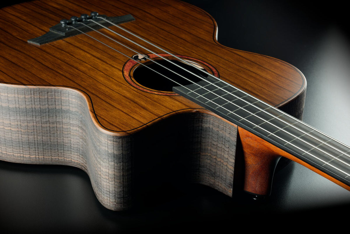 Basse Acoustique Fretless Jumbo Pan Coupé Electro, avec housse