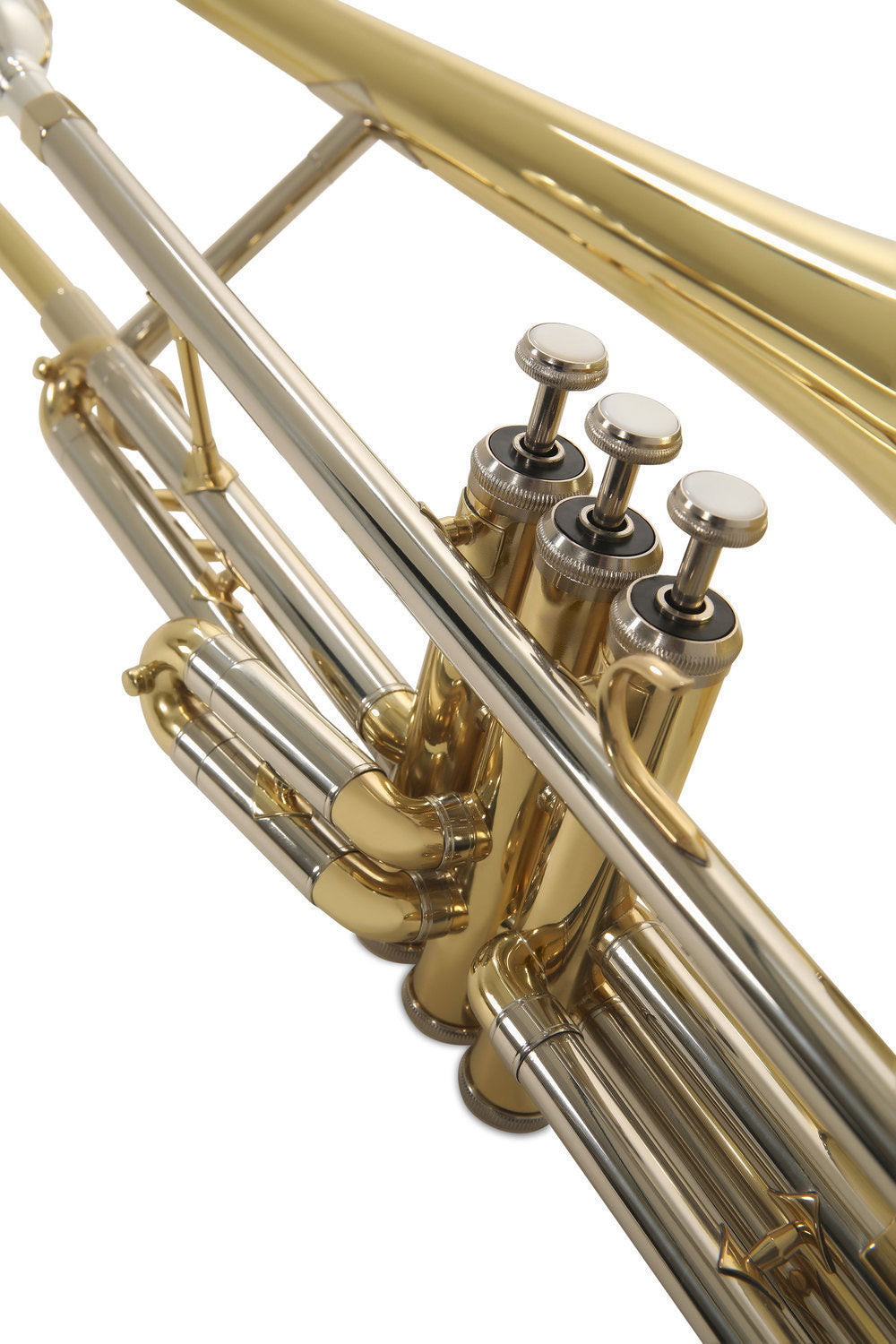 Ambition VT51 Tenor B Lackiert