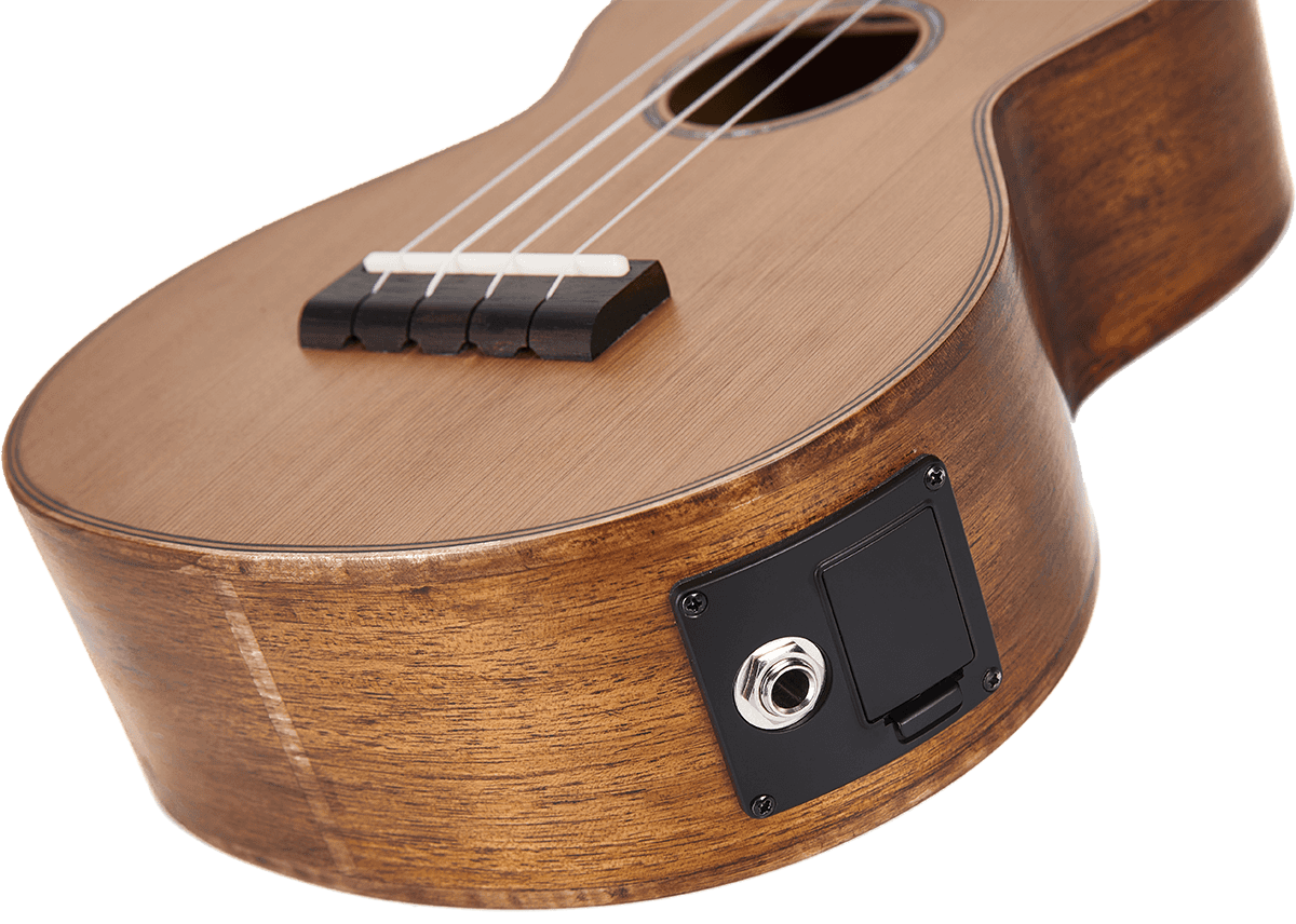 Concert Natur Elektro + Tasche
