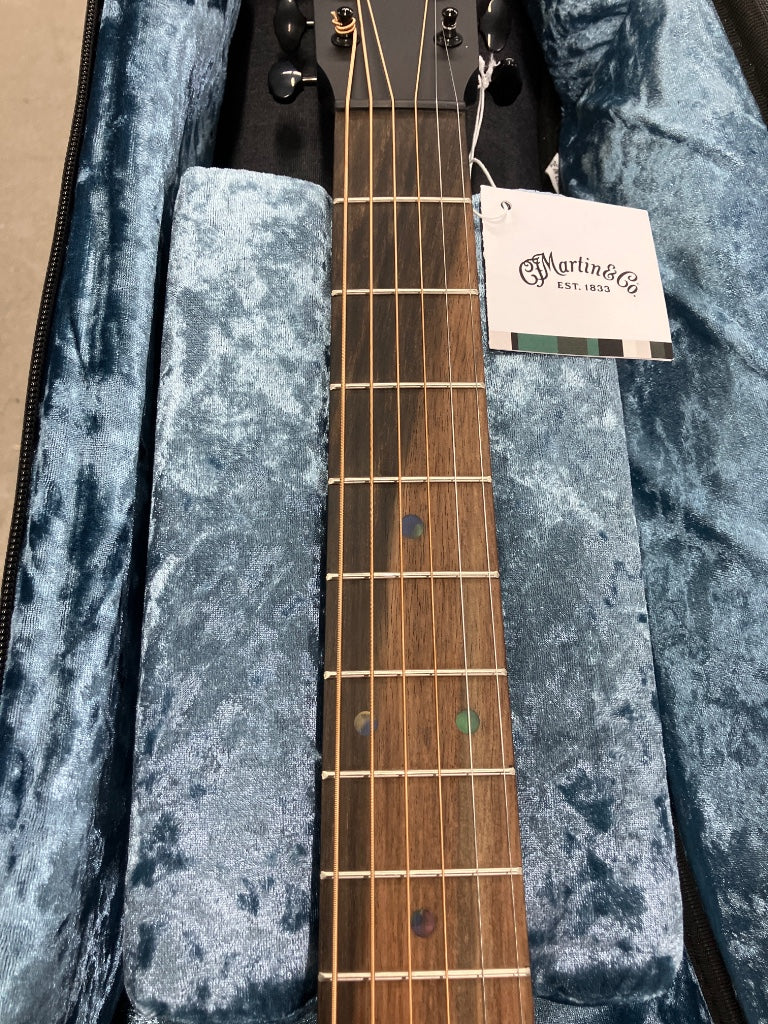 DC-10E Modern Black Satin Spruce/Sapele - B Stock