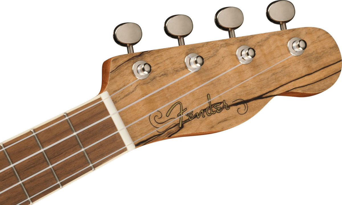 Zuma Uke Exotic Concert Wn Spalted Maple