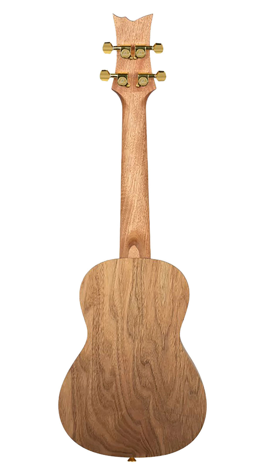 Ukulele Concert Serie Art Birds
