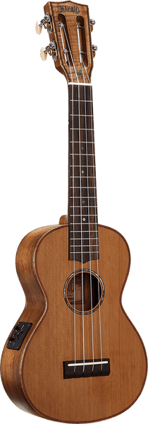 Concert Natur Elektro + Tasche