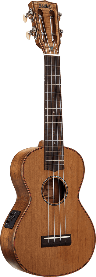 Concert Natur Elektro + Tasche