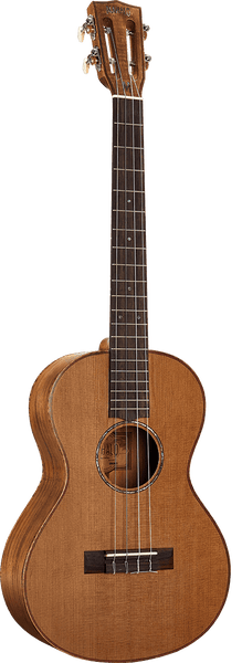 Naturbelassener Elektro-Bariton + Tasche