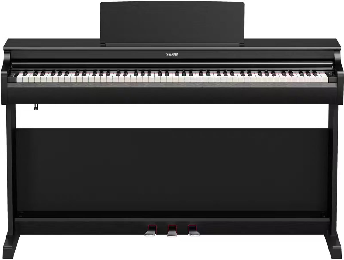 YDP-166 Black