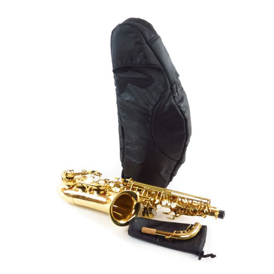 Black Alto Saxophone Case