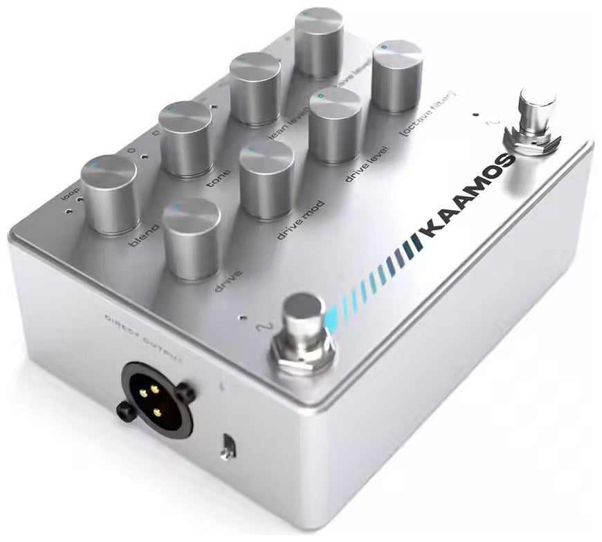 Kaamos Distortion Octaver