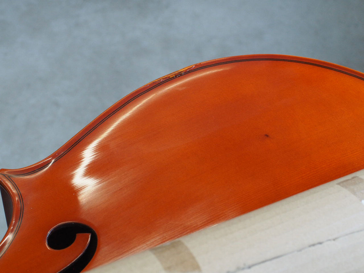 4/4 CELLO SET VC5S - BLAGER