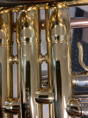 TP300 - B lackiert