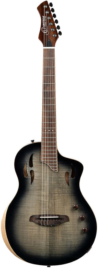 TourPlayer 4/4 + Profi-Tasche