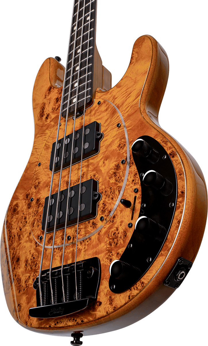 Ray 34 HH Poplar Burl Amber
