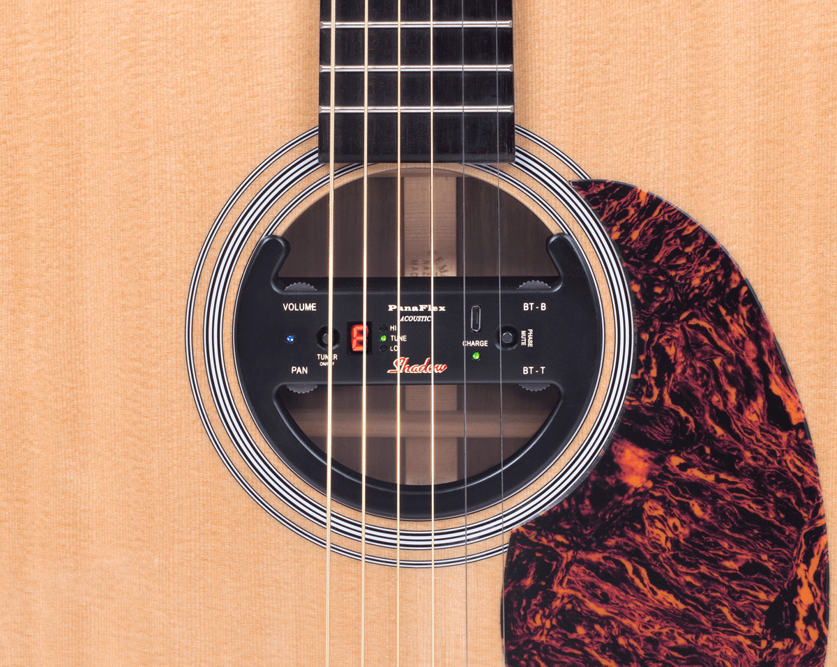 PANAFLEX WIRELESS SYSTEMS FOR ACOUSTIC GUITAR