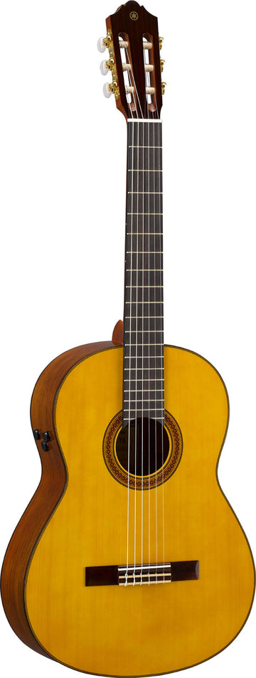 cg-ta transacoustic natur