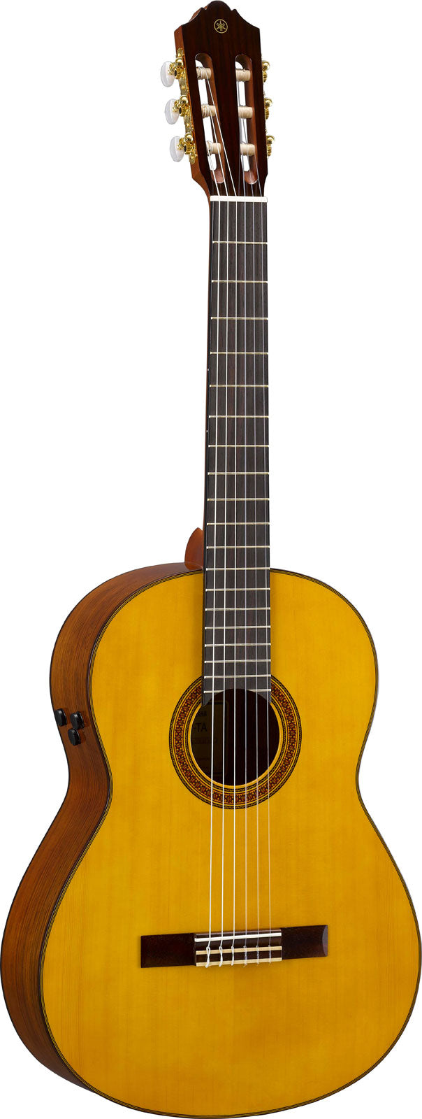 cg-ta transacoustic natur