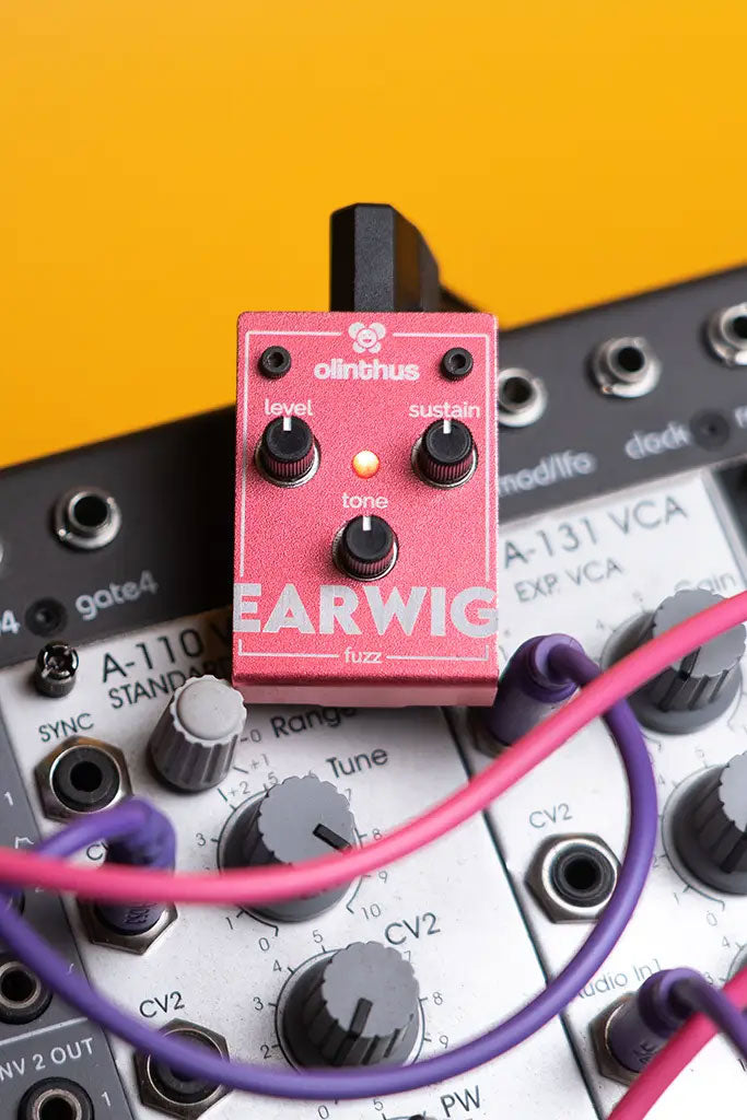 Earwig - Fuzz
