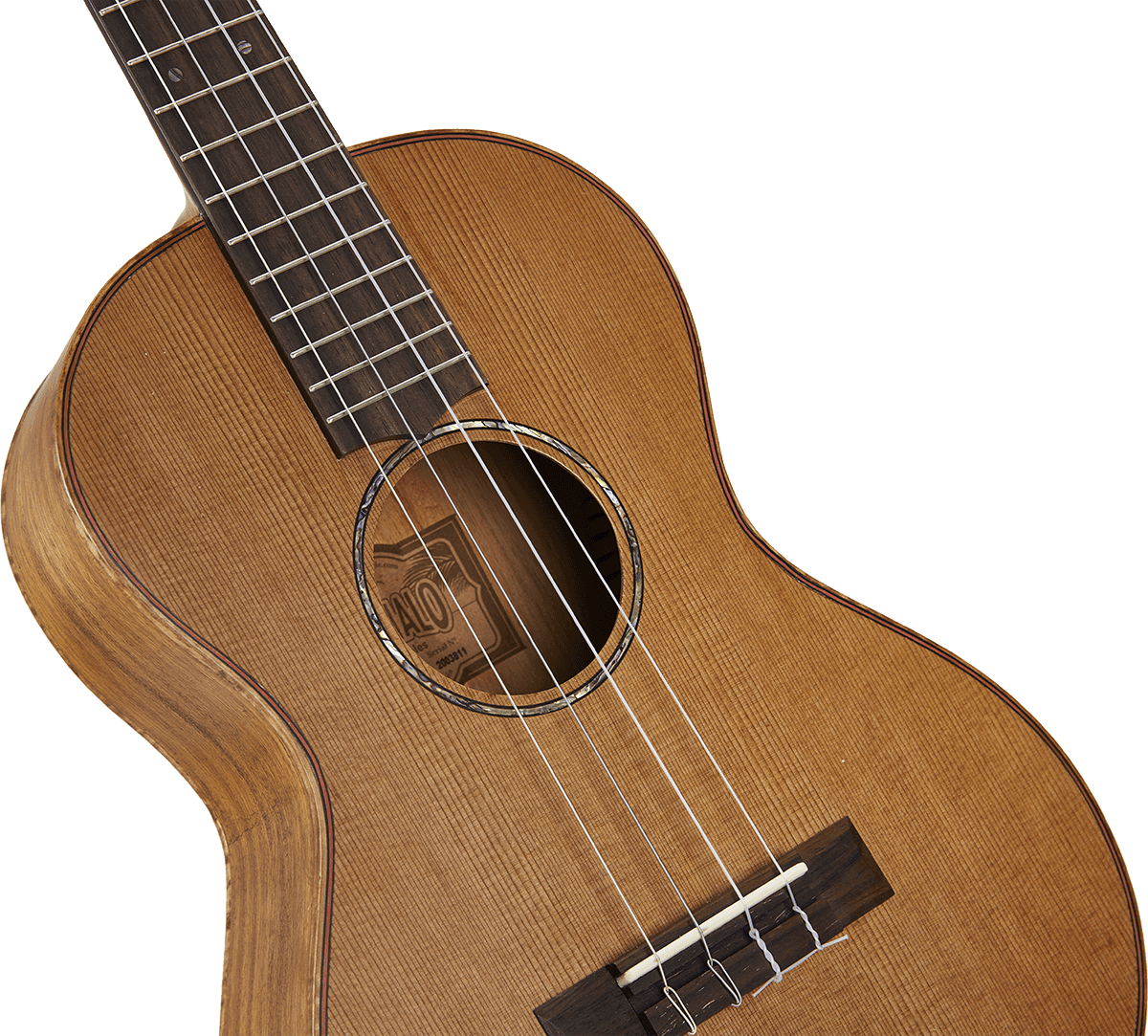 Naturbelassener Elektro-Bariton + Tasche