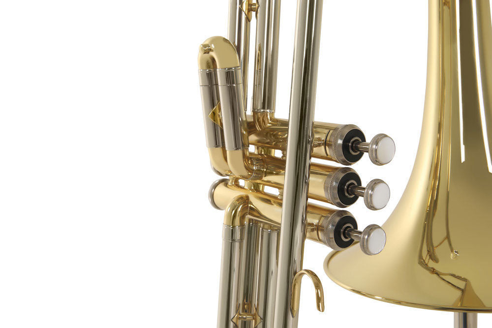 Ambition VT51 Tenor B Lackiert