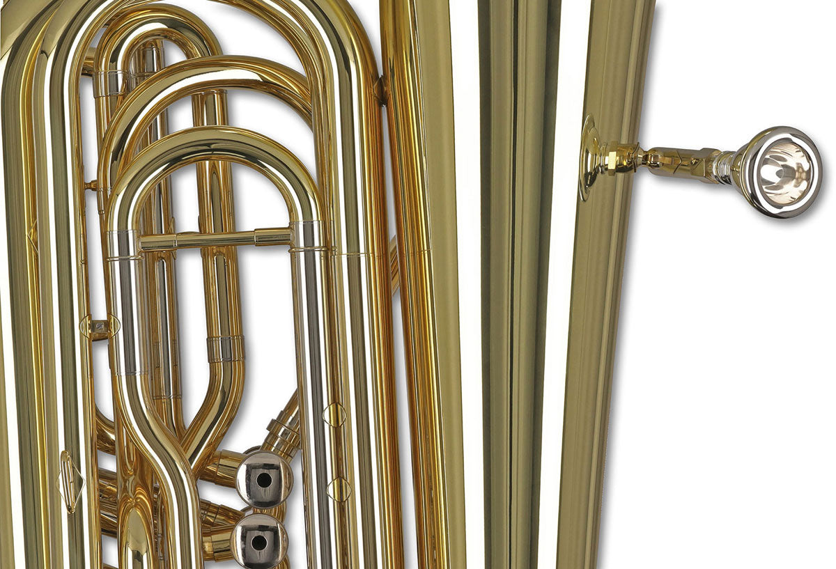 Ambition BB501B Contrebasse Sib Verni