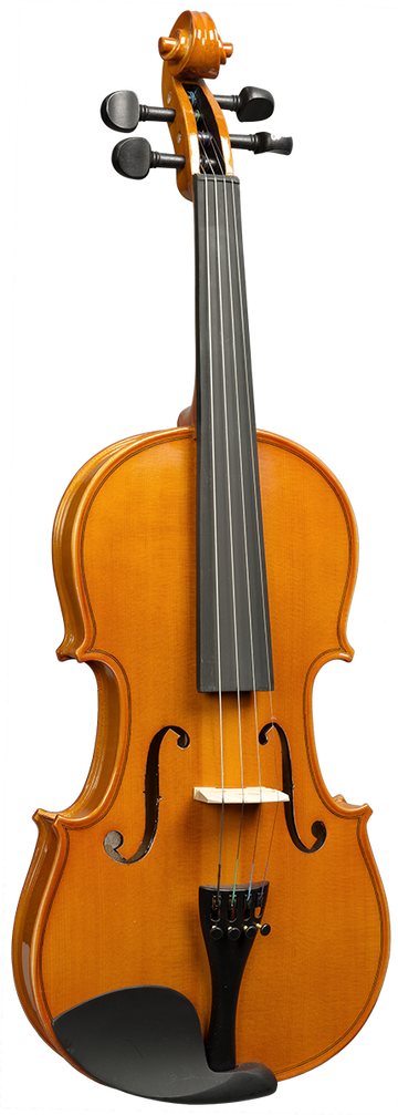 1/4-1/8 VIOLON 1/8 TOUT MASSIF AS118