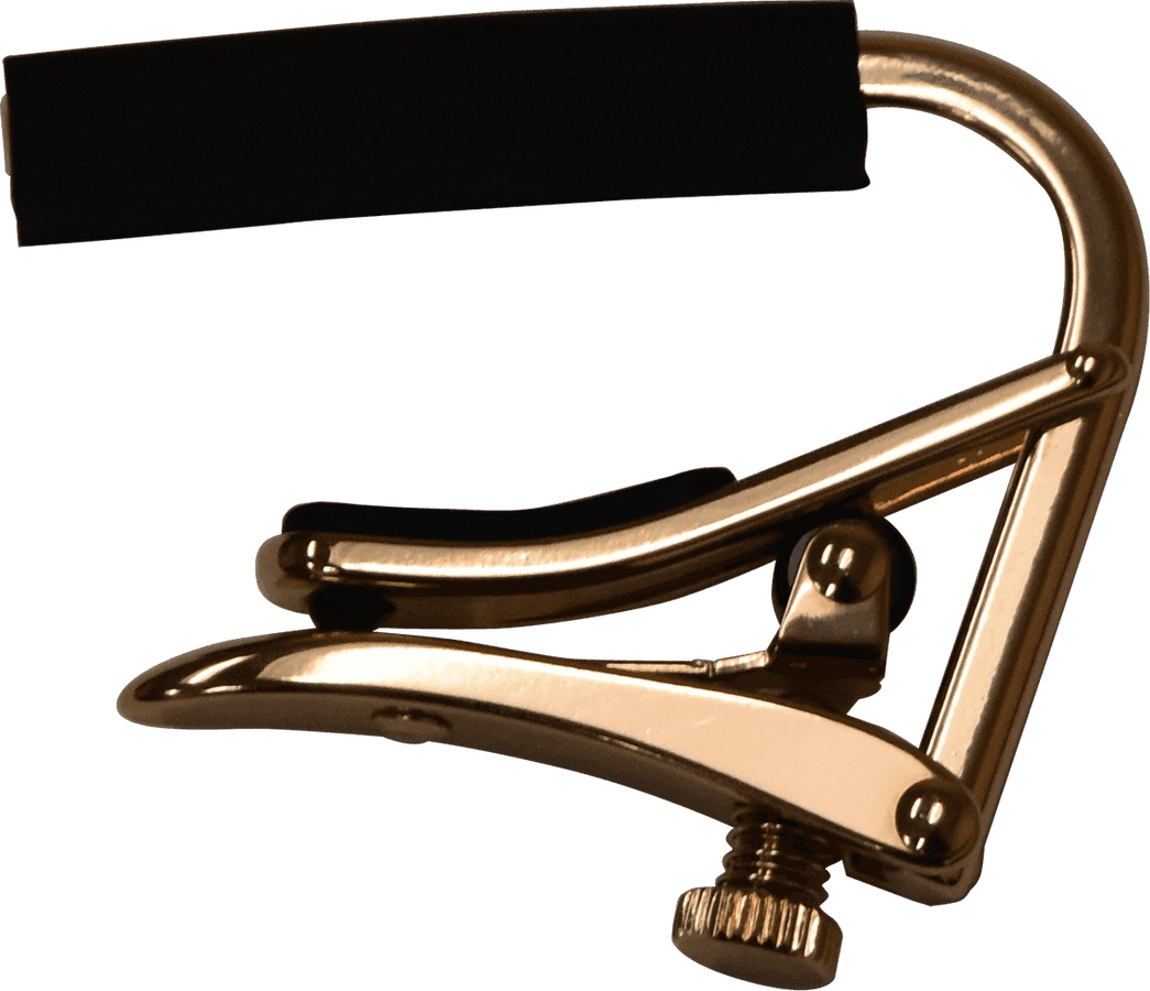Pink Gold 12-saitig