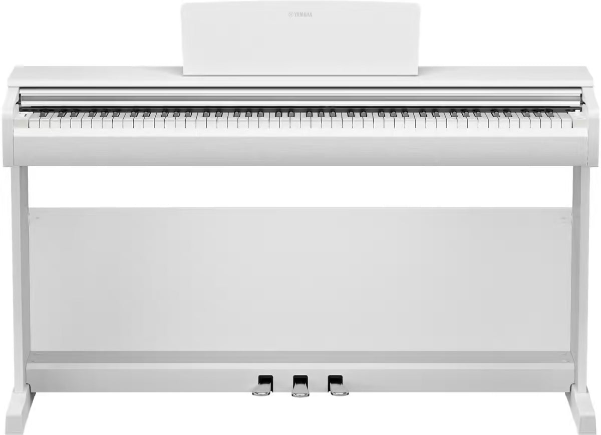 YDP-146 White
