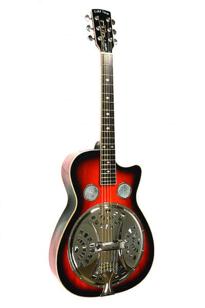 Gold Tone Resophonic Signature Paul Beard