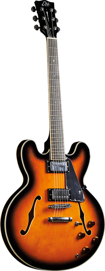 Type Hollowbody double cut Sunburst