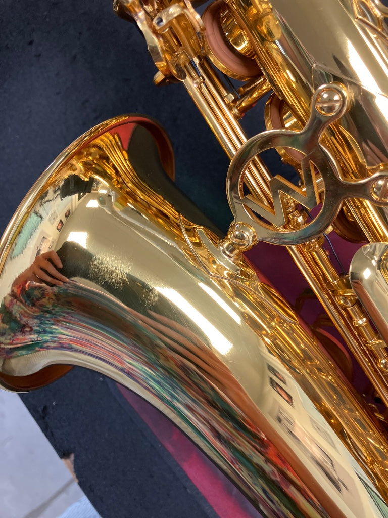 WSA300 - Alt Es lackiert - B-Ware