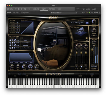 Steinway D Platinum