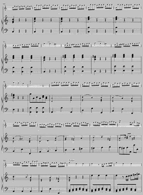 Vivaldi A. - Konzert für Flautino (Blockflöte/Flöte) und Orchester in C-Dur Op. 44 11 Rv 443