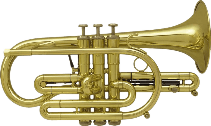 ETERNA 800 CLEAR LACQUER