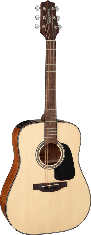 GLD12ENS 12 Dreadnought Fichte-Mahagoni