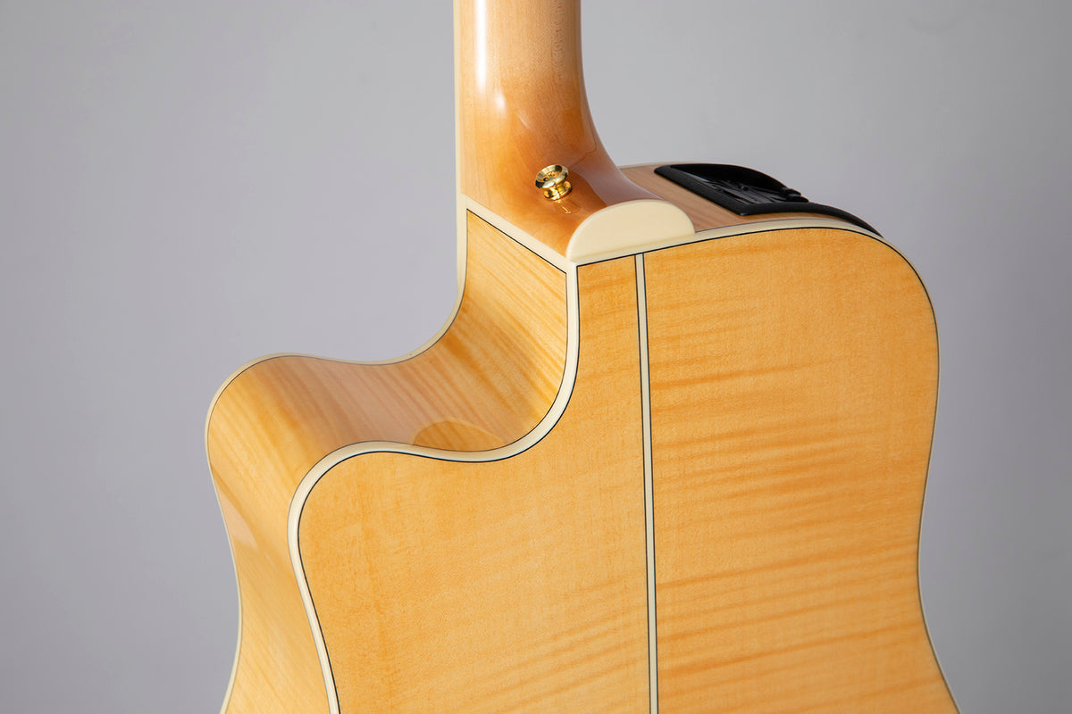 GD74CE-12 Dreadnought Saiten Natur