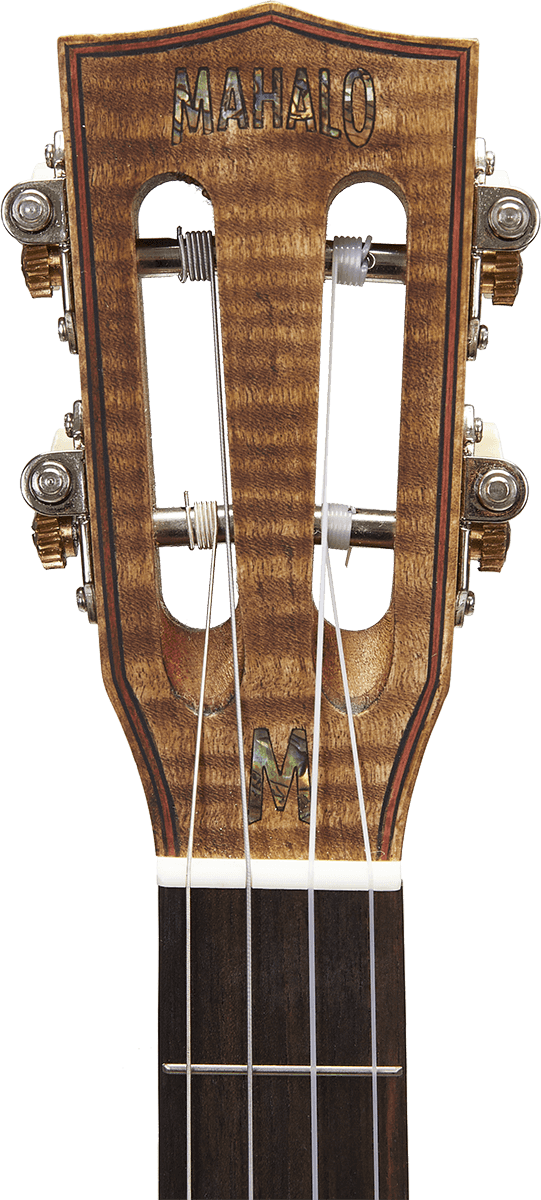 Naturbelassener Elektro-Bariton + Tasche