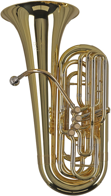 Ambition BB501B Contrebasse Sib Verni