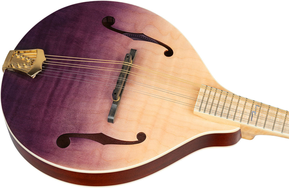 Americana A-Style Mandolin + Croco Leather Case