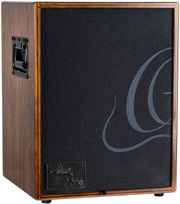 AMPLI ORTEGA 100W 2 CANAUX REV/CHORUS
